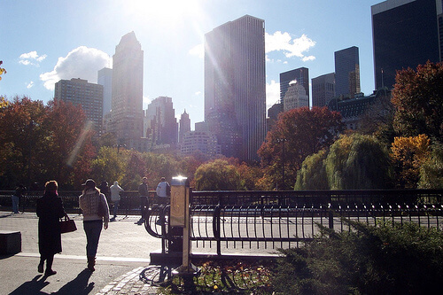 lens flare photography example in park with city skyline
