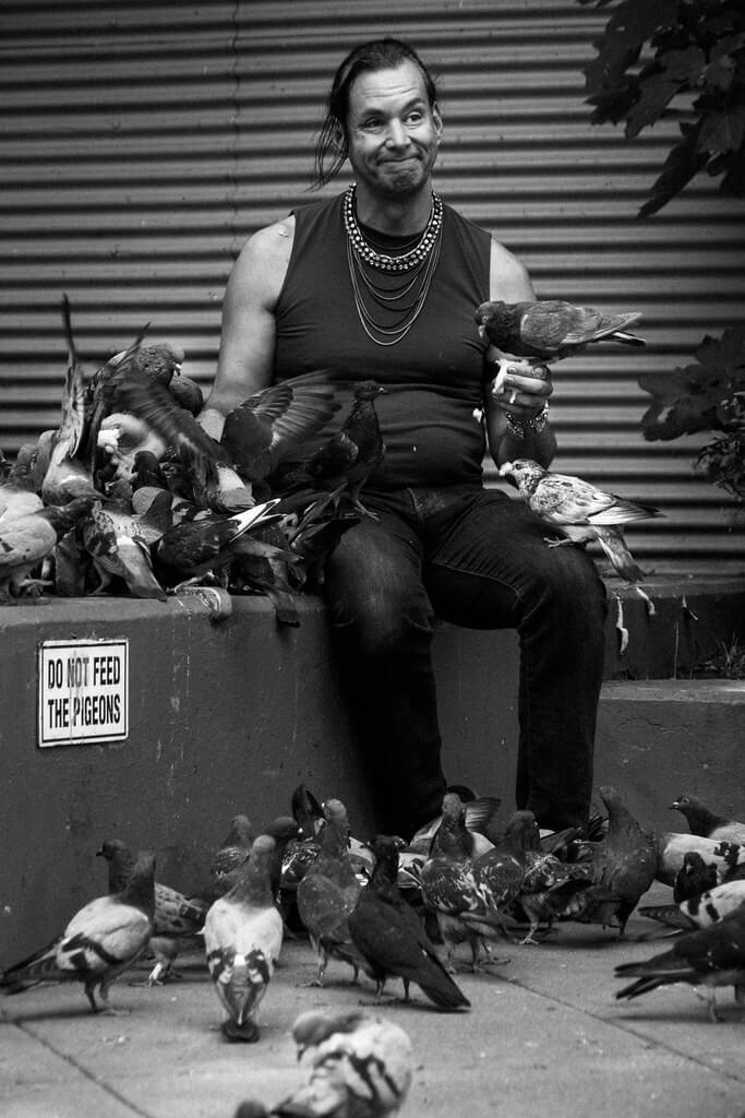 Bill Donohue - The Pigeonman From Hell