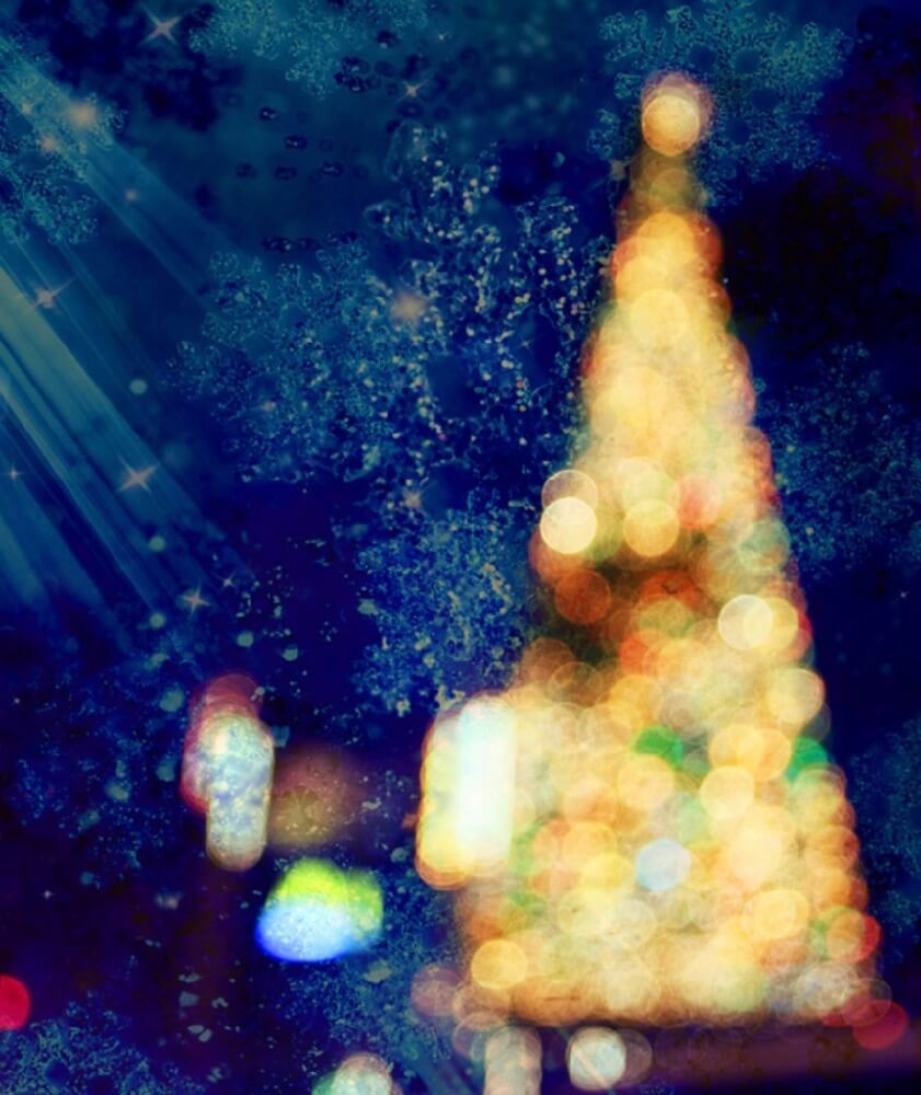 Ric - Merry Christmas!