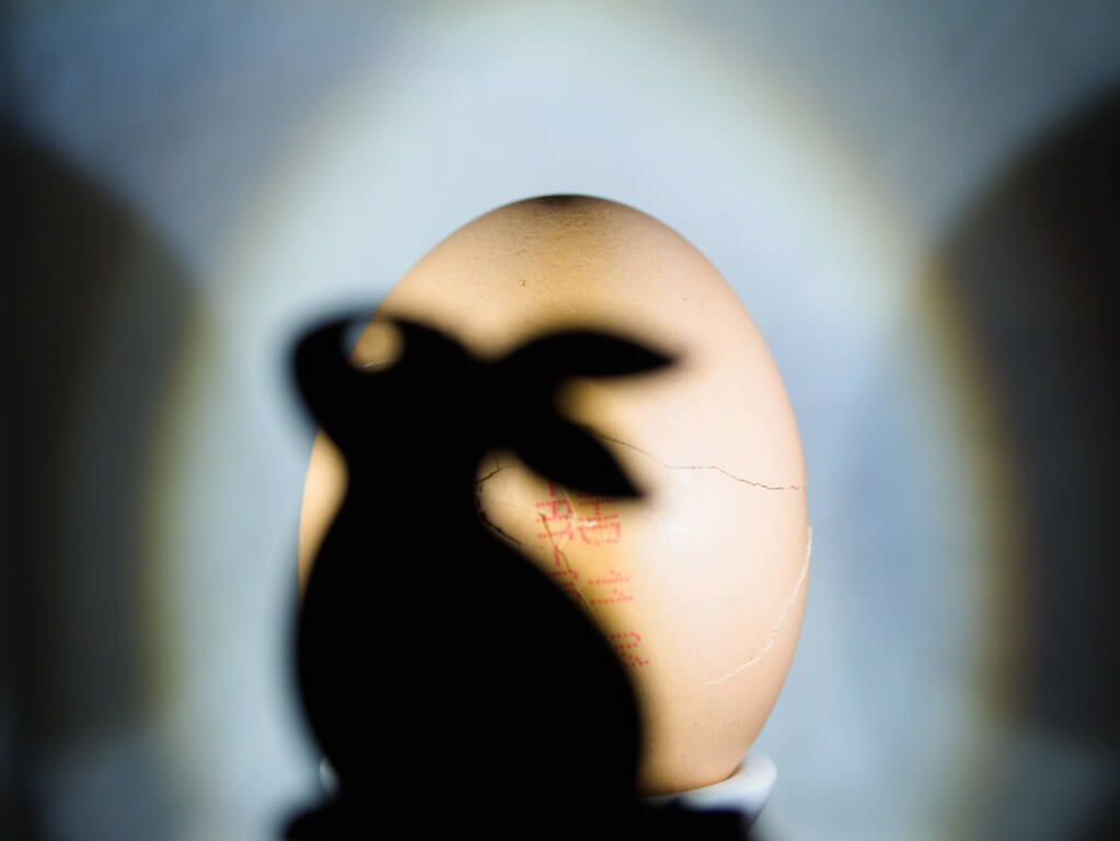 Elisabeth patchwork - shadows on the egg