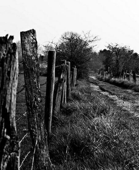fence photography