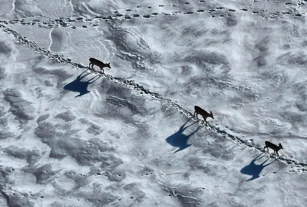 Ron Miller/ Al Orlando - North Bay, Ontario, Canada