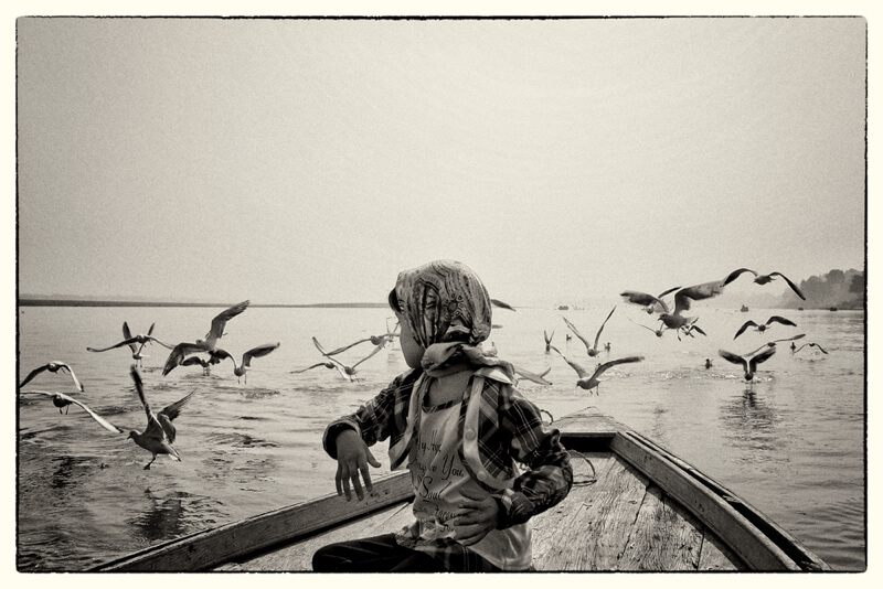 black and white boat with birds