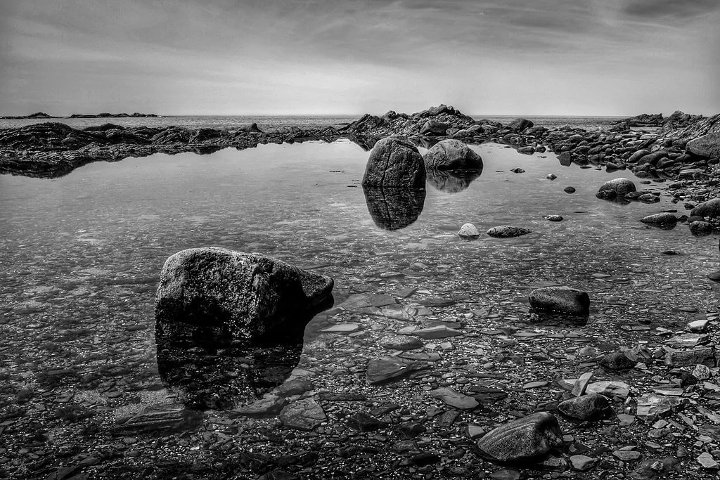 david constance - Tidal Pool