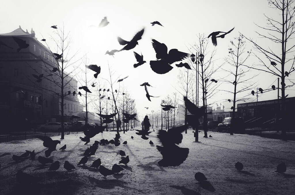 Shirren Lim - Mongolia